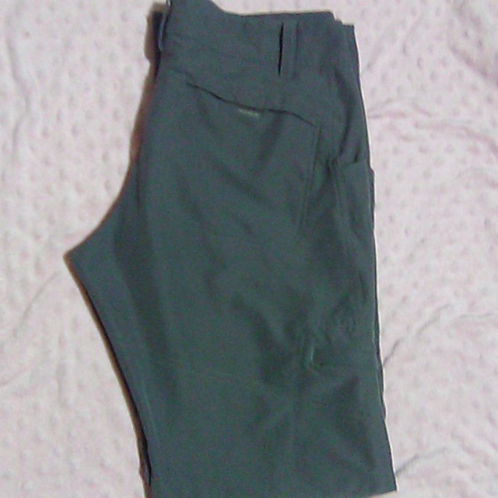 Alpine design cargo pants